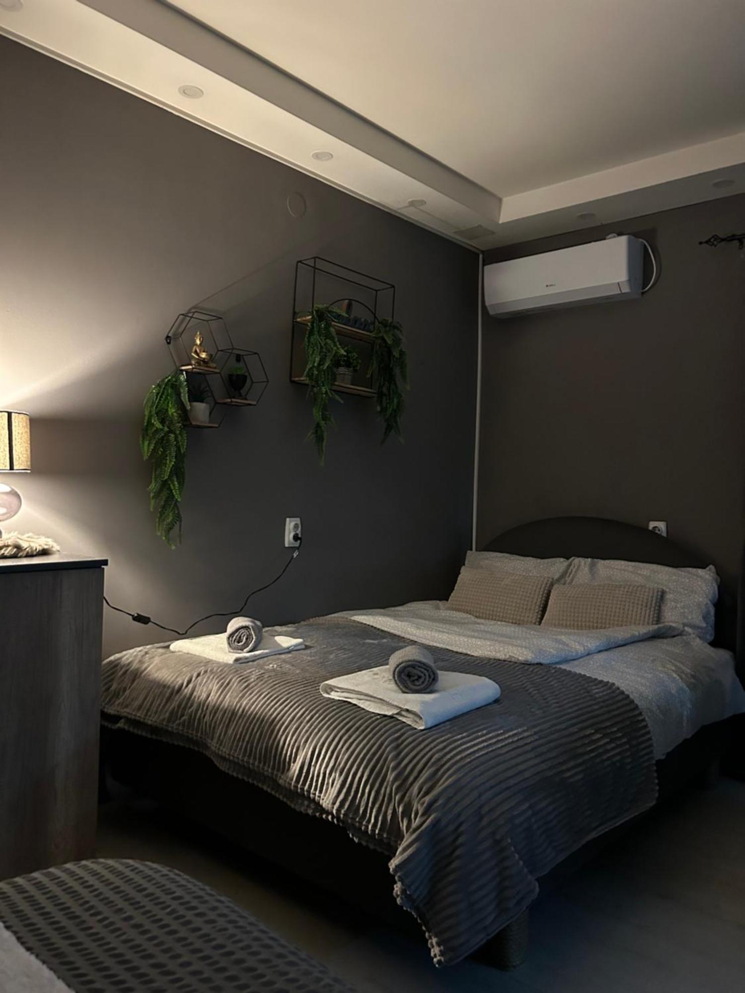 Beta House Apartments Заєчар Екстер'єр фото